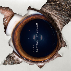 国产探花免费在线
