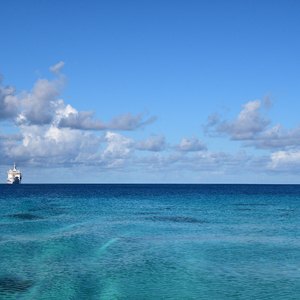 国产探花免费在线
